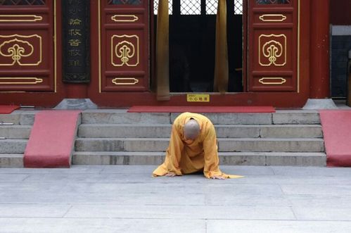 北京八大处灵光寺中的拜佛人