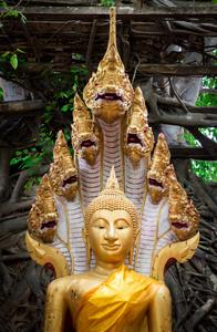 佛与蛇金色的佛像与蛇在森林背景上照片