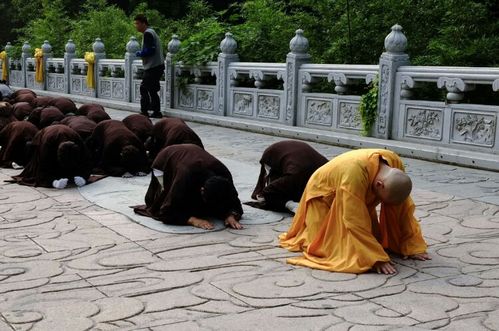 北京八大处灵光寺中的拜佛人