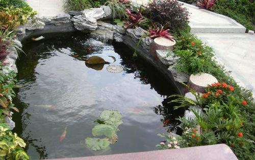 别墅庭院鱼池设计方法效果图欣赏