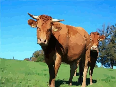 生肖牛的运势分析生肖牛这个属相命格中的运势算不上太强,属于中等